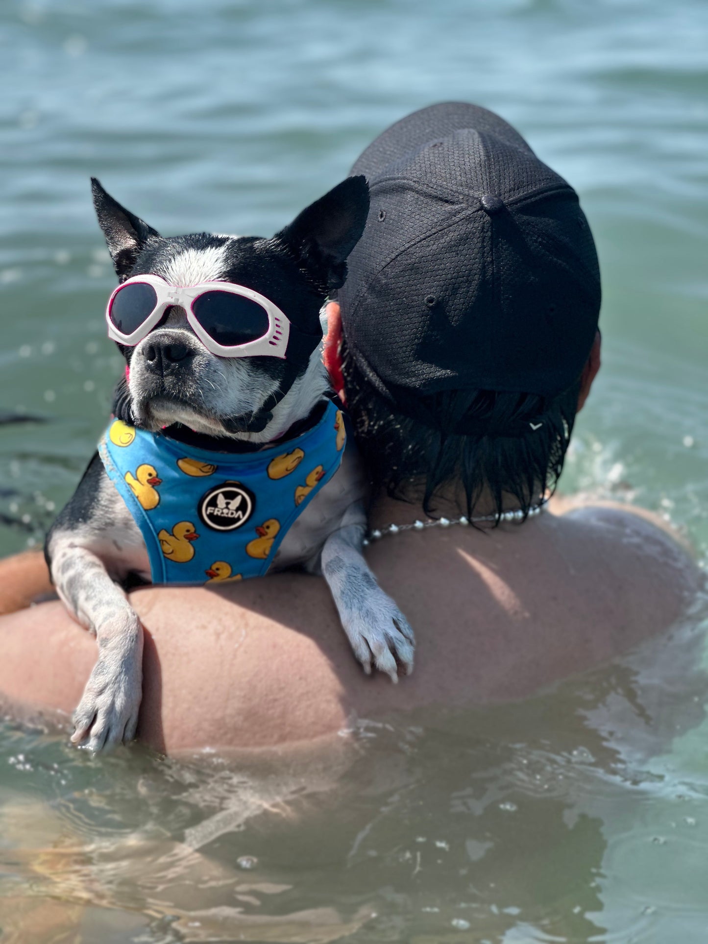 Gafas Plegables para perro Frida Pets