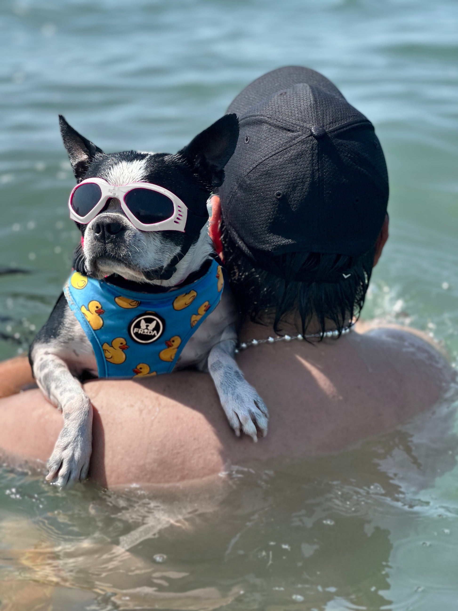 Gafas Plegables para perro Frida Pets