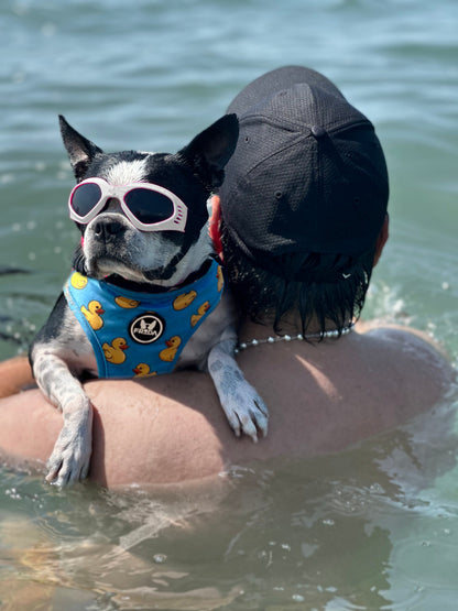 Gafas Plegables para perro Frida Pets