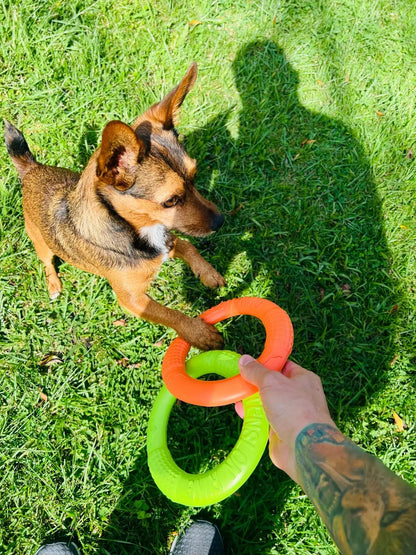 Anillo volador para perros tipo frisbee de Caucho Frida Pets