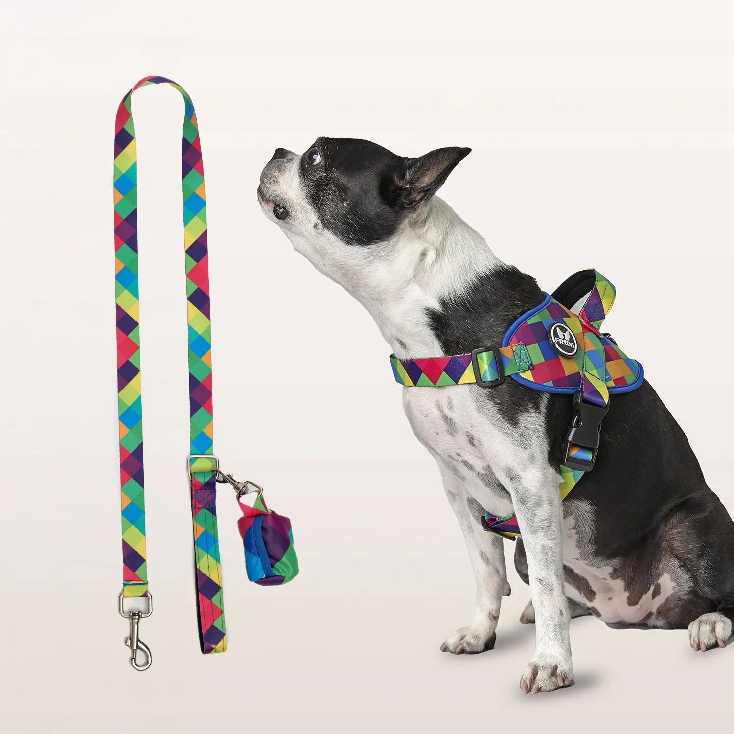Pechera Flofy para mascotas + Correa Frida Pets