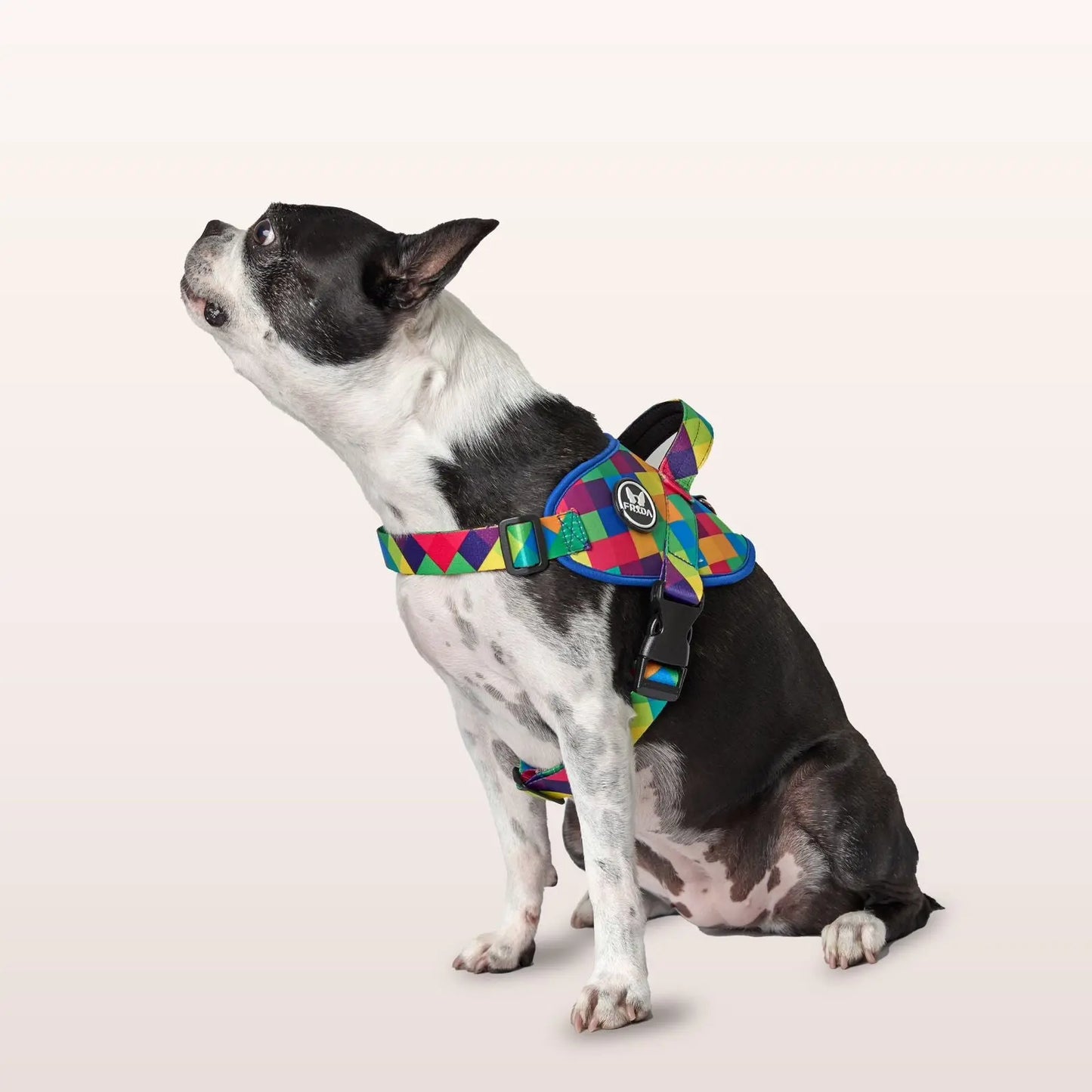 Pechera Flofy Serenity Rombos Azules Frida Pets