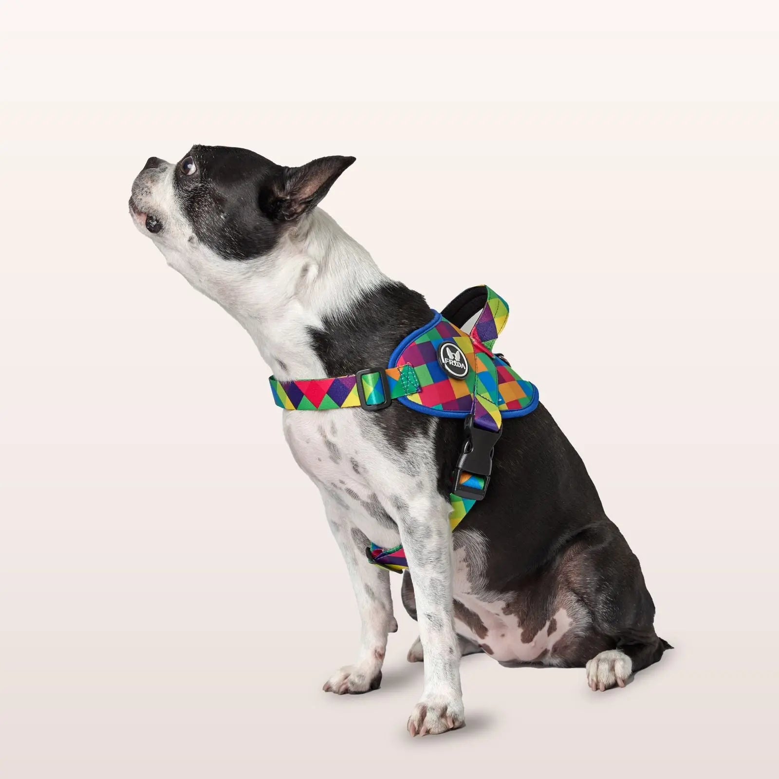 Pechera Flofy Serenity Rombos Azules Frida Pets