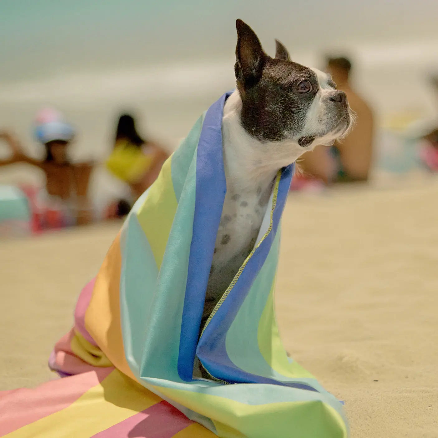 Toalla Estampada de microfibra Lineas Azules Frida Pets