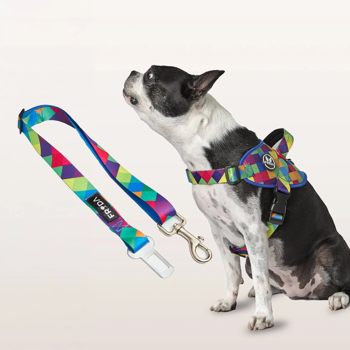 Pechera Flofy para mascotas +  Cinturón para carro + Envio Gratis -- Selecciona Diseño Frida Pets