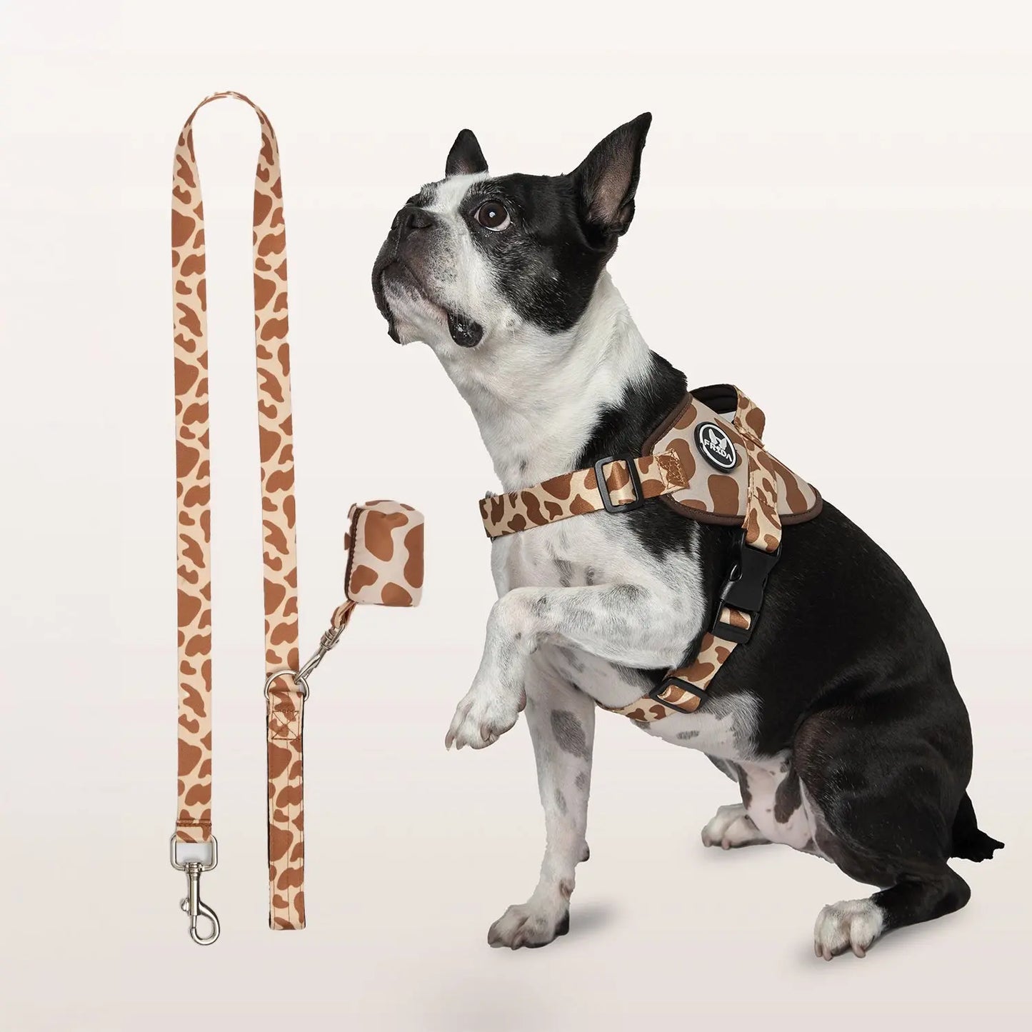 Pechera Flofy para mascotas + Correa Frida Pets