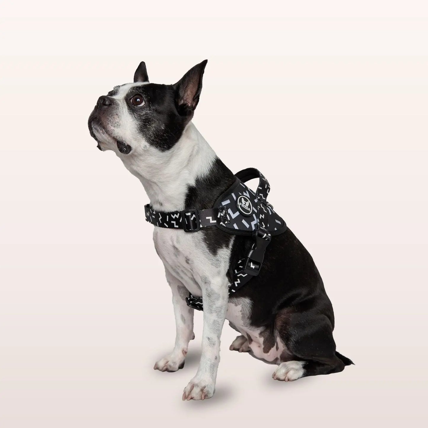 Pechera Flofy Serenity Black Frida Pets