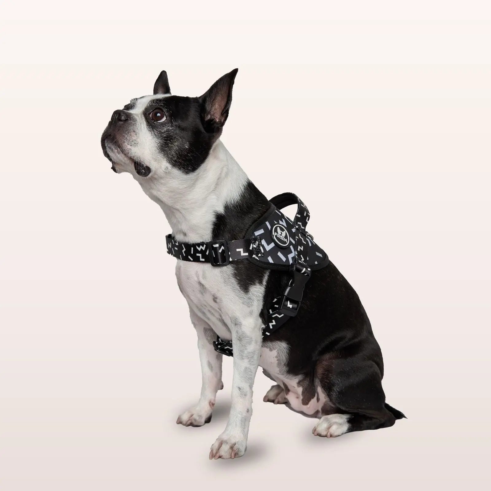 Pechera Flofy Serenity Black Frida Pets