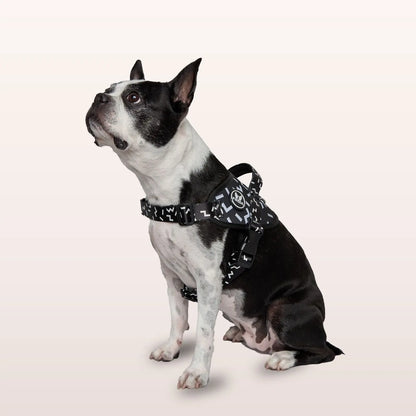 Pechera Flofy Serenity Black Frida Pets