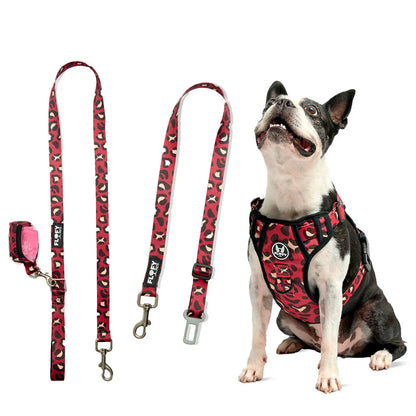 Combo Road Trip Pechera Evo 2.0 + Correa + Cinturón de Carro Frida Pets