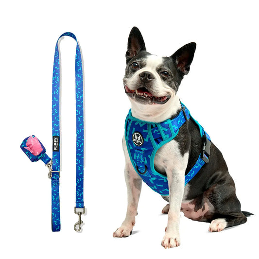 Combo EVO 2.0: Pechera + Correa + Portabolsas - FLOFY PETS