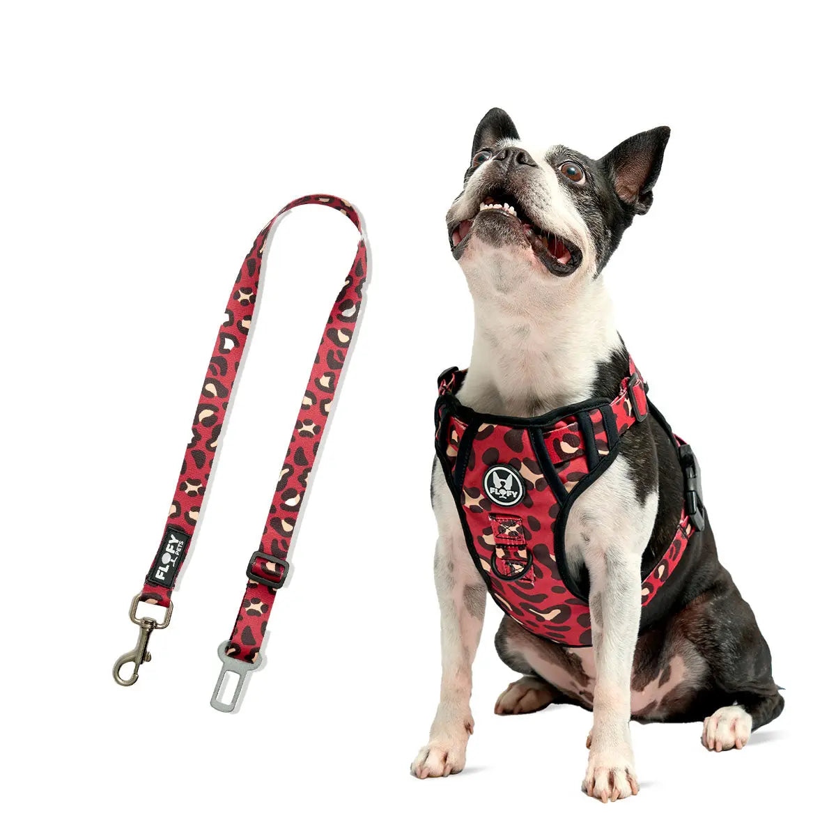Pechera para Mascotas Evo 2.0  + Cinturón para carro