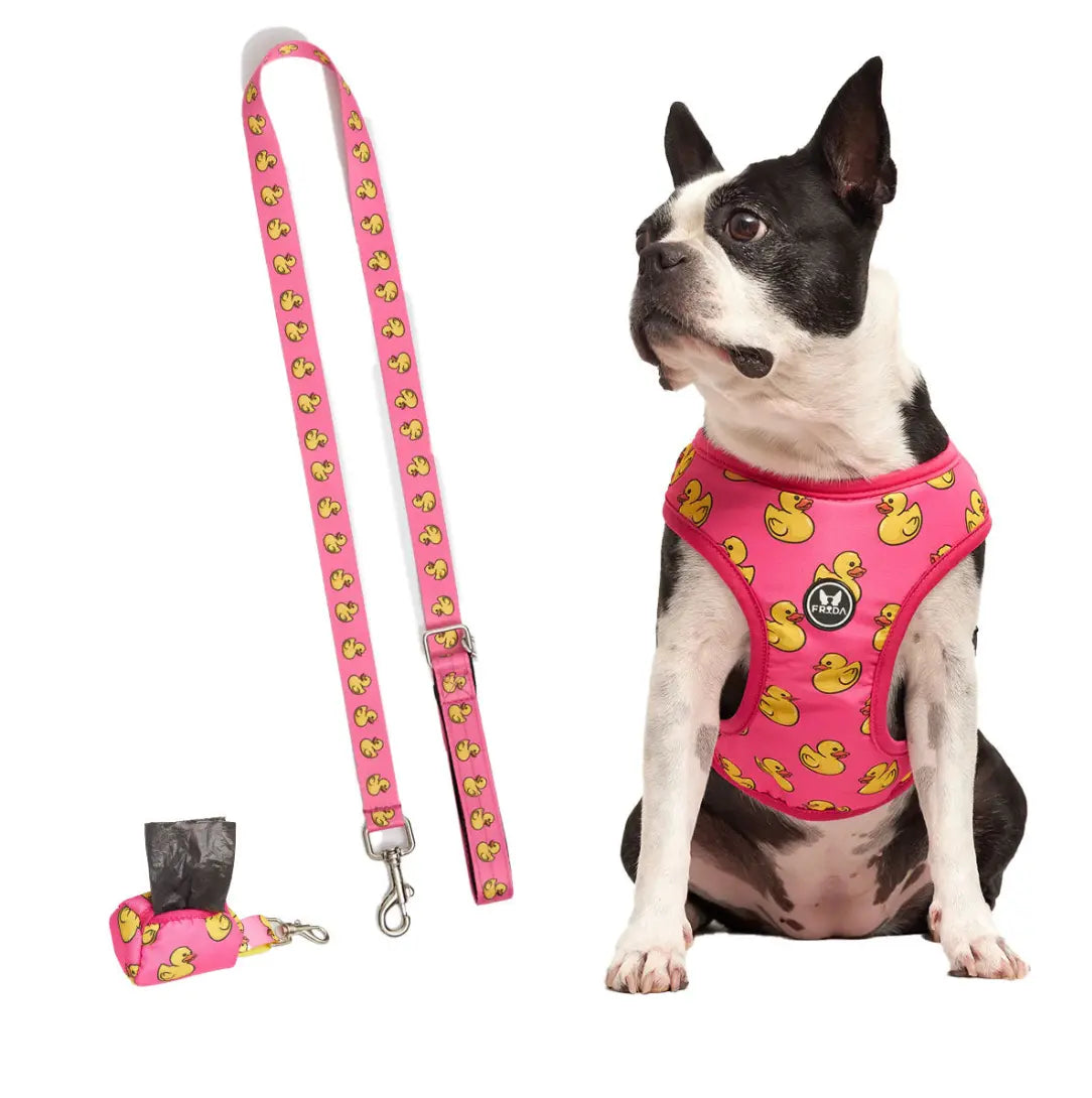 50% Off - LIQUIDACION!  - Pechera y Correa - Envio Gratis - FLOFY PETS