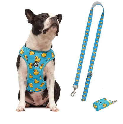 50% Off - LIQUIDACION!  - Pechera y Correa - Envio Gratis - FLOFY PETS