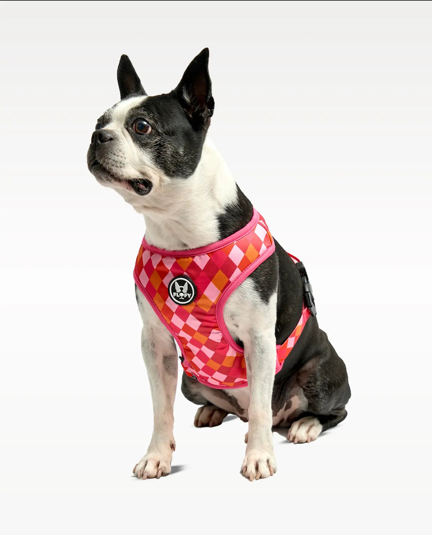 Pechera para mascotas Rombos Fucsias Frida Pets