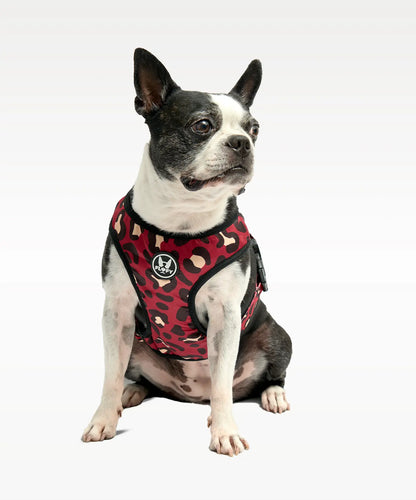 Pechera para mascotas Animal Wine Frida Pets