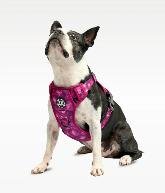 Pechera para mascotas Evo 2.0 - Animal Purple Frida Pets