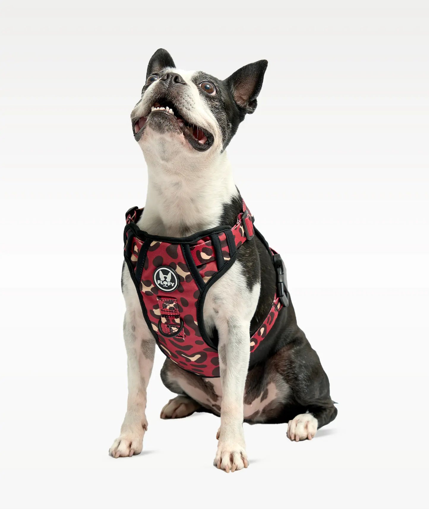 Pechera para mascotas Evo 2.0  -  Animal Wine - FLOFY PETS