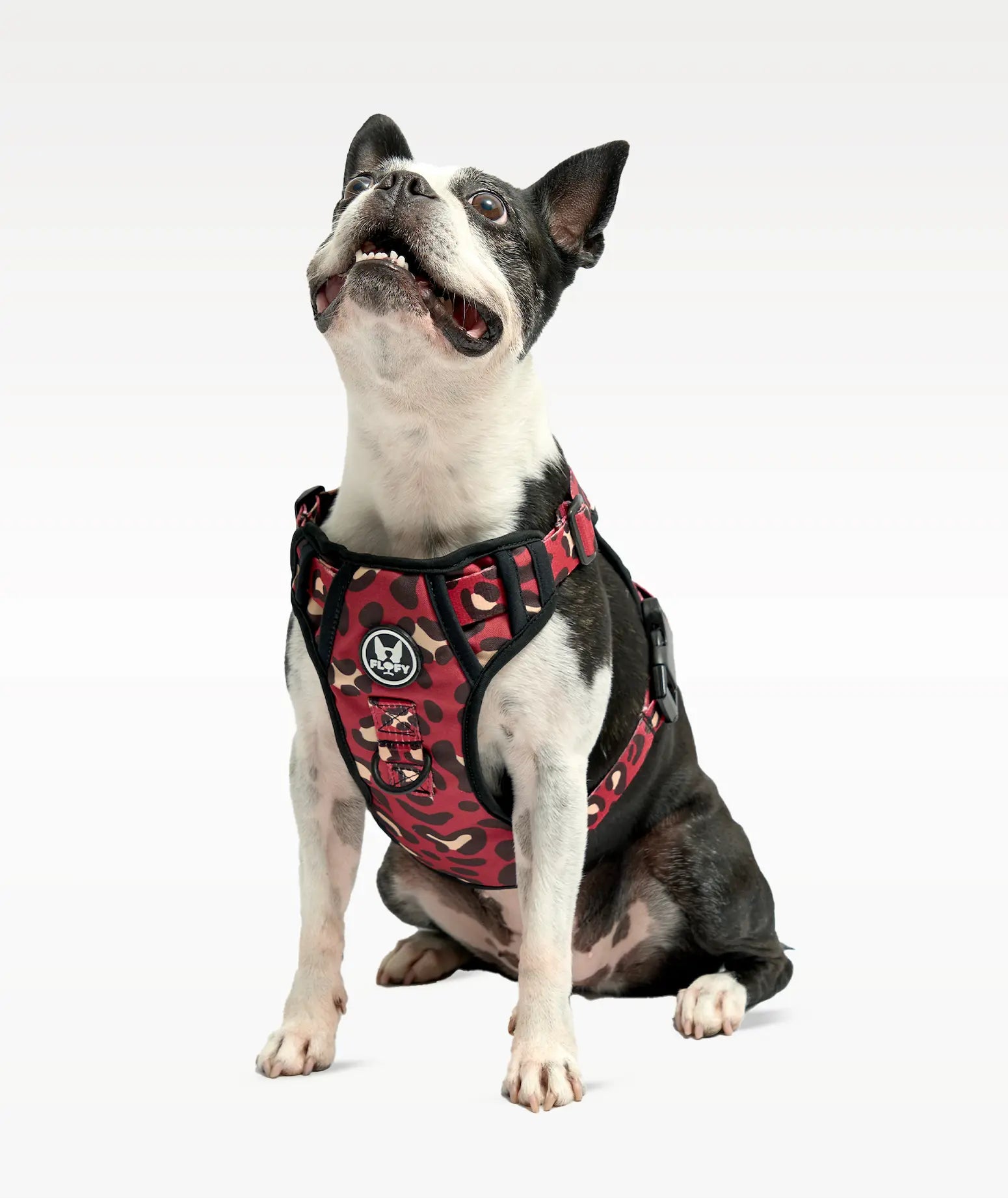 Pechera para mascotas Evo 2.0  -  Animal Wine - FLOFY PETS