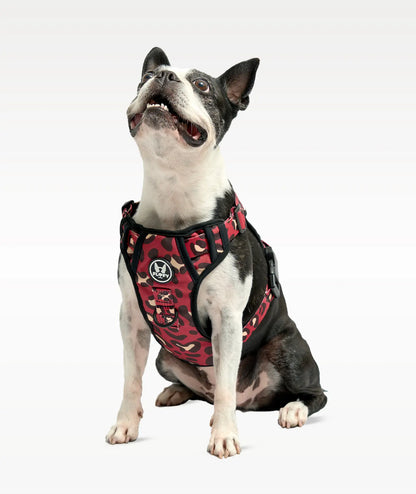Pechera para mascotas Evo 2.0  -  Animal Wine - FLOFY PETS