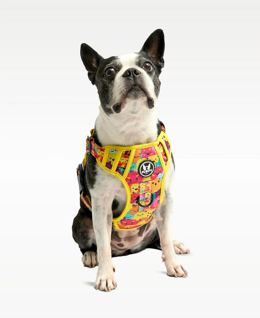 Pechera para mascotas Evo 2.0  - Monstruos - FLOFY PETS