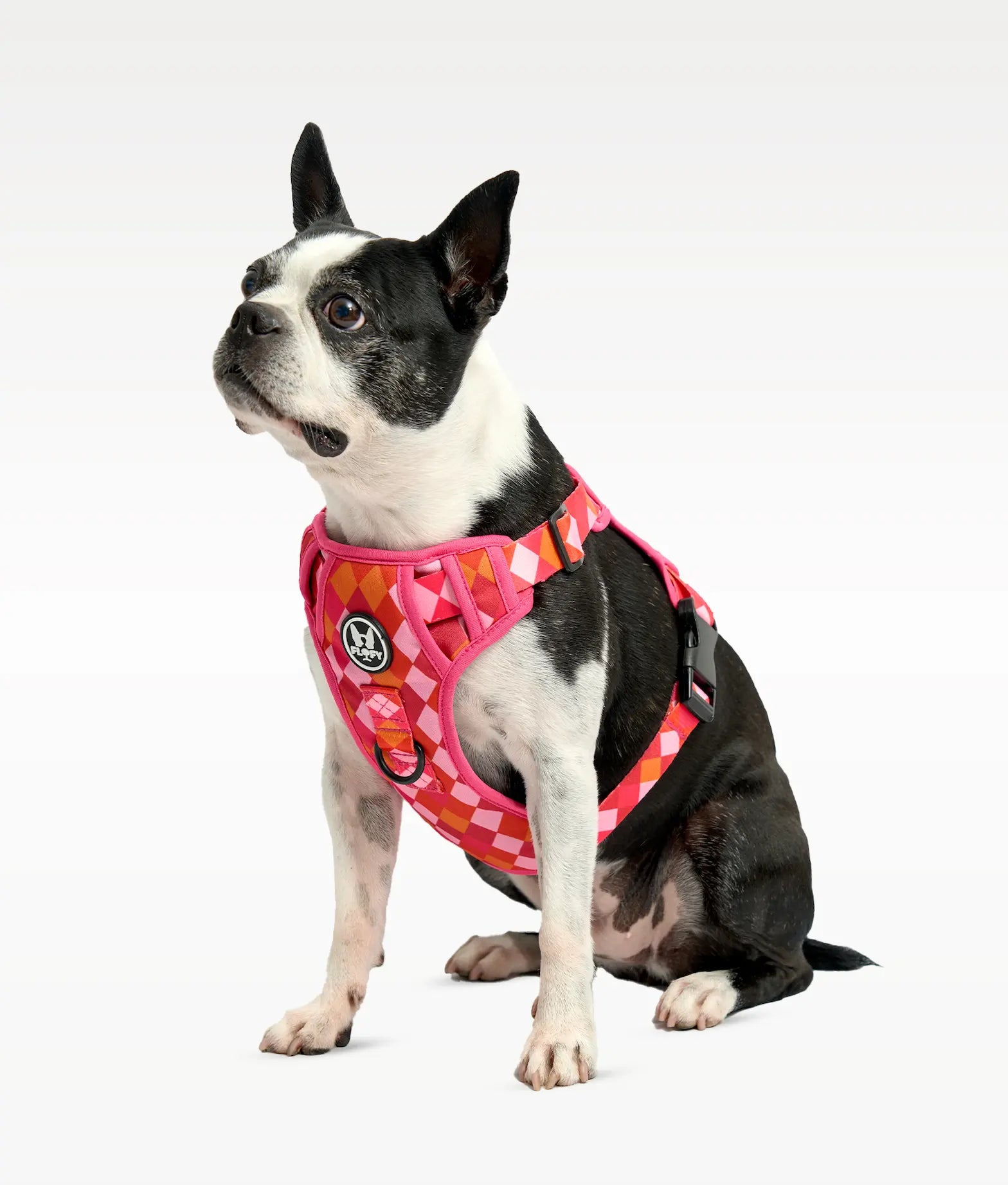 Pechera para mascotas  Evo 2.0 - Rombos Fucsia Frida Pets