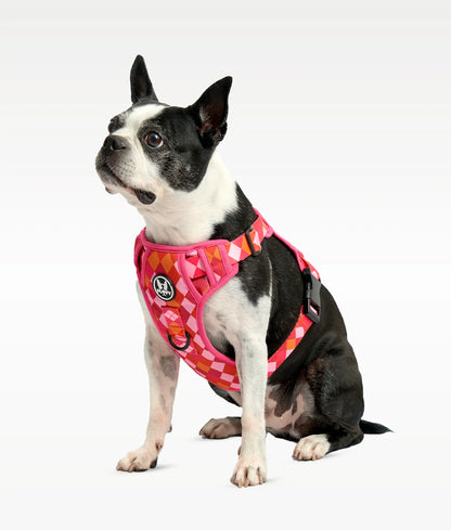 Pechera para mascotas  Evo 2.0 - Rombos Fucsia Frida Pets
