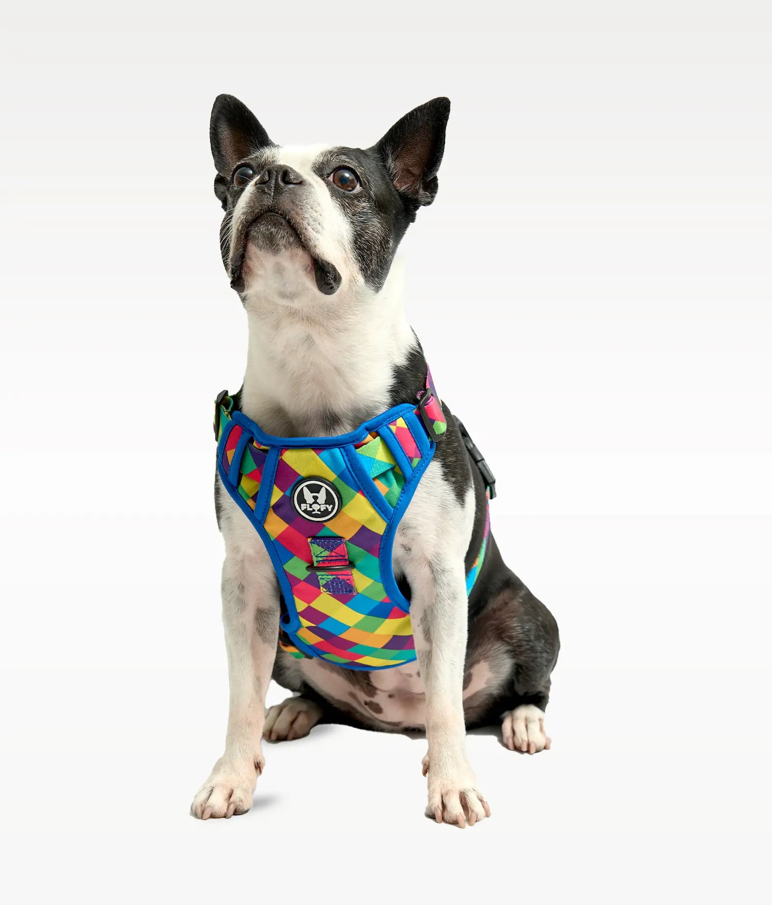 Pechera para mascotas Evo 2.0 - Rombos Azules Frida Pets