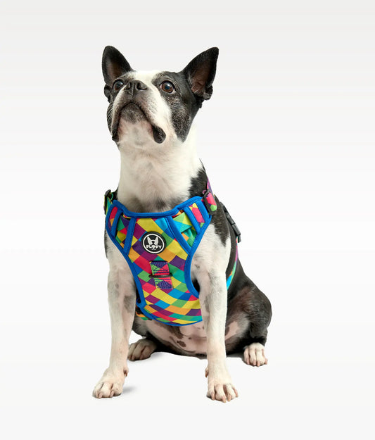 Pechera para mascotas Evo 2.0 - Rombos Azules Frida Pets