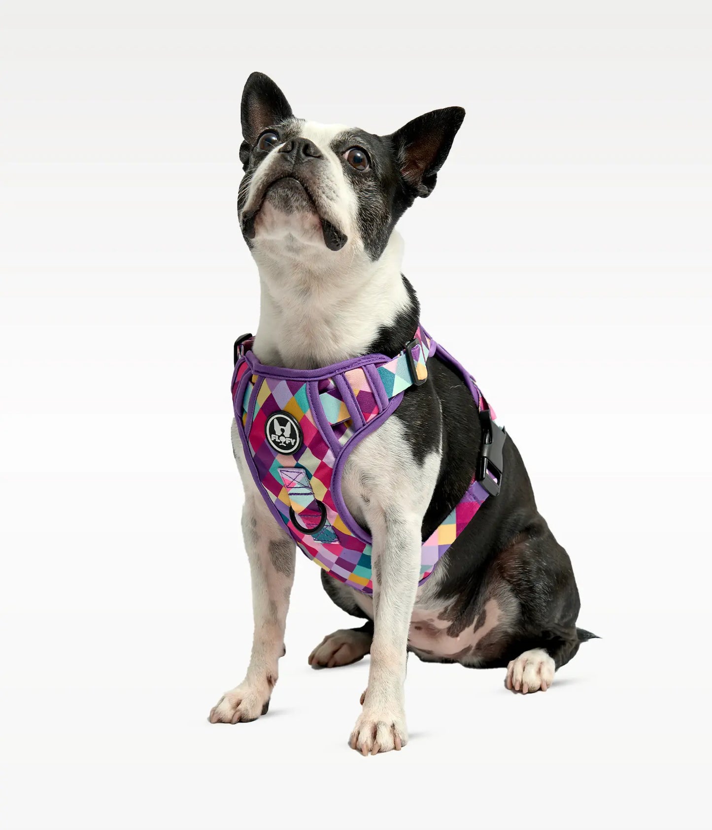Pechera para mascotas  Evo 2.0  - Rombos Morados Frida Pets