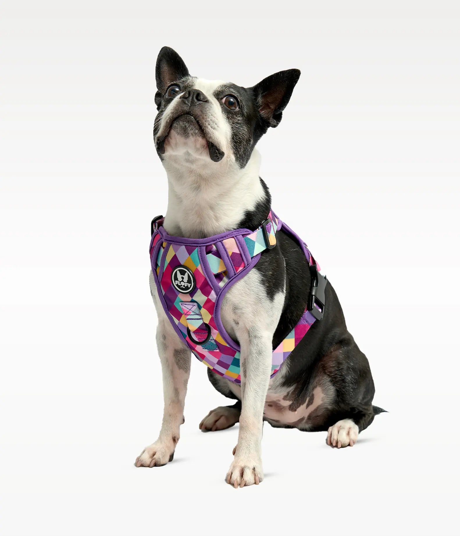 Pechera para mascotas  Evo 2.0  - Rombos Morados Frida Pets
