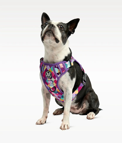 Pechera para mascotas  Evo 2.0  - Rombos Morados Frida Pets