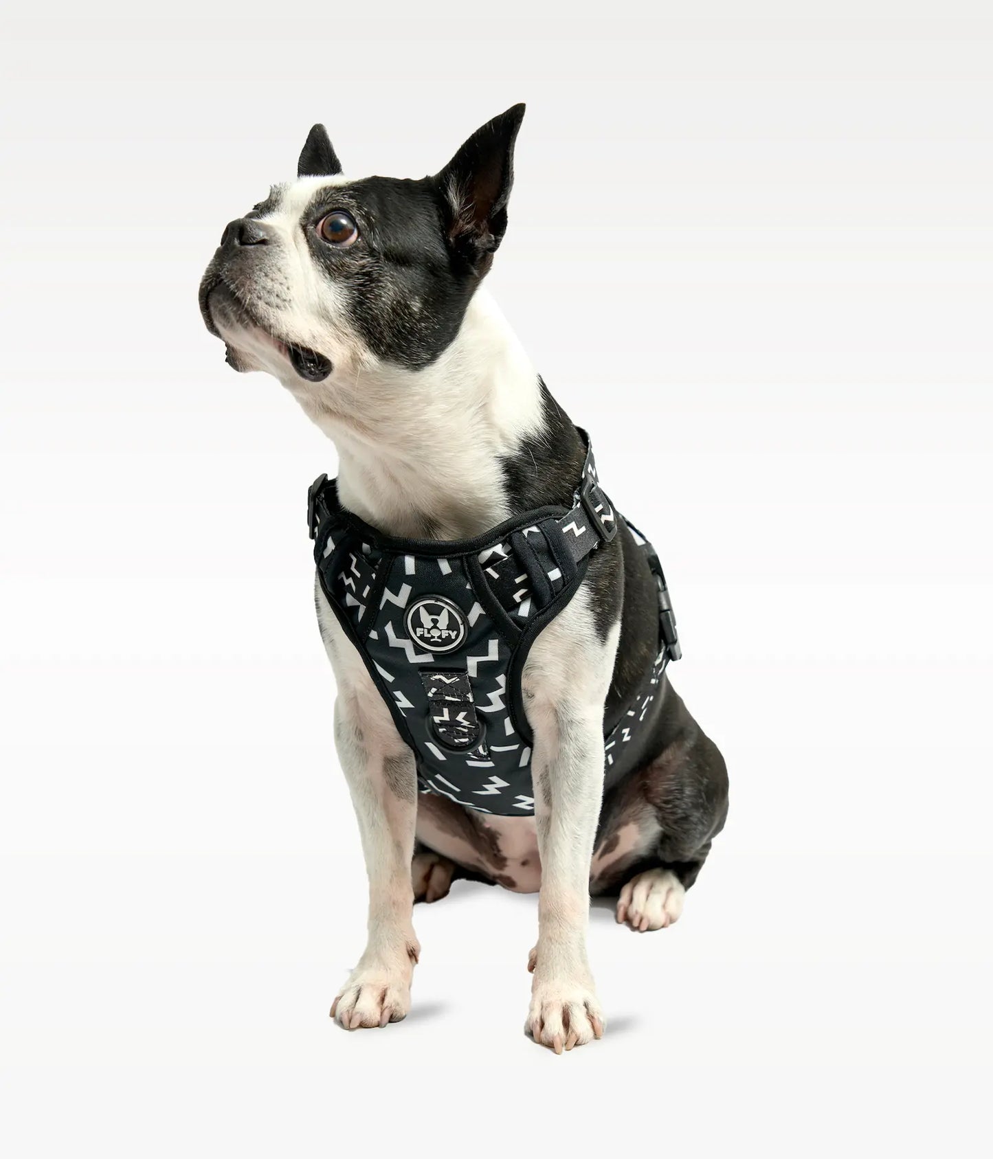 Pechera para mascotas Evo 2.0 - Serenity Black Frida Pets