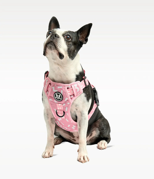Pechera para mascotas Evo 2.0 - Serenity Pink Frida Pets