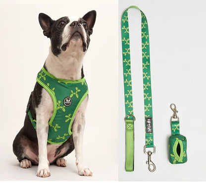 50% Off - LIQUIDACION!  - Pechera y Correa - Envio Gratis - FLOFY PETS