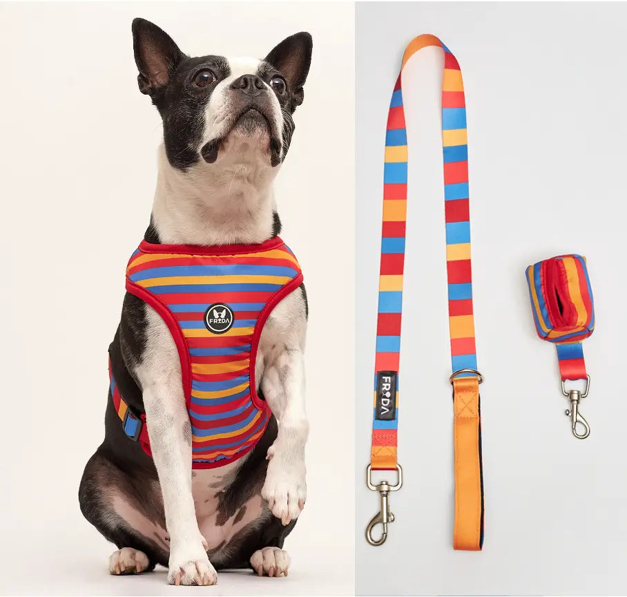 50% Off - LIQUIDACION!  - Pechera y Correa - Envio Gratis - FLOFY PETS