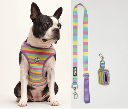 50% Off - LIQUIDACION!  - Pechera y Correa - Envio Gratis - FLOFY PETS