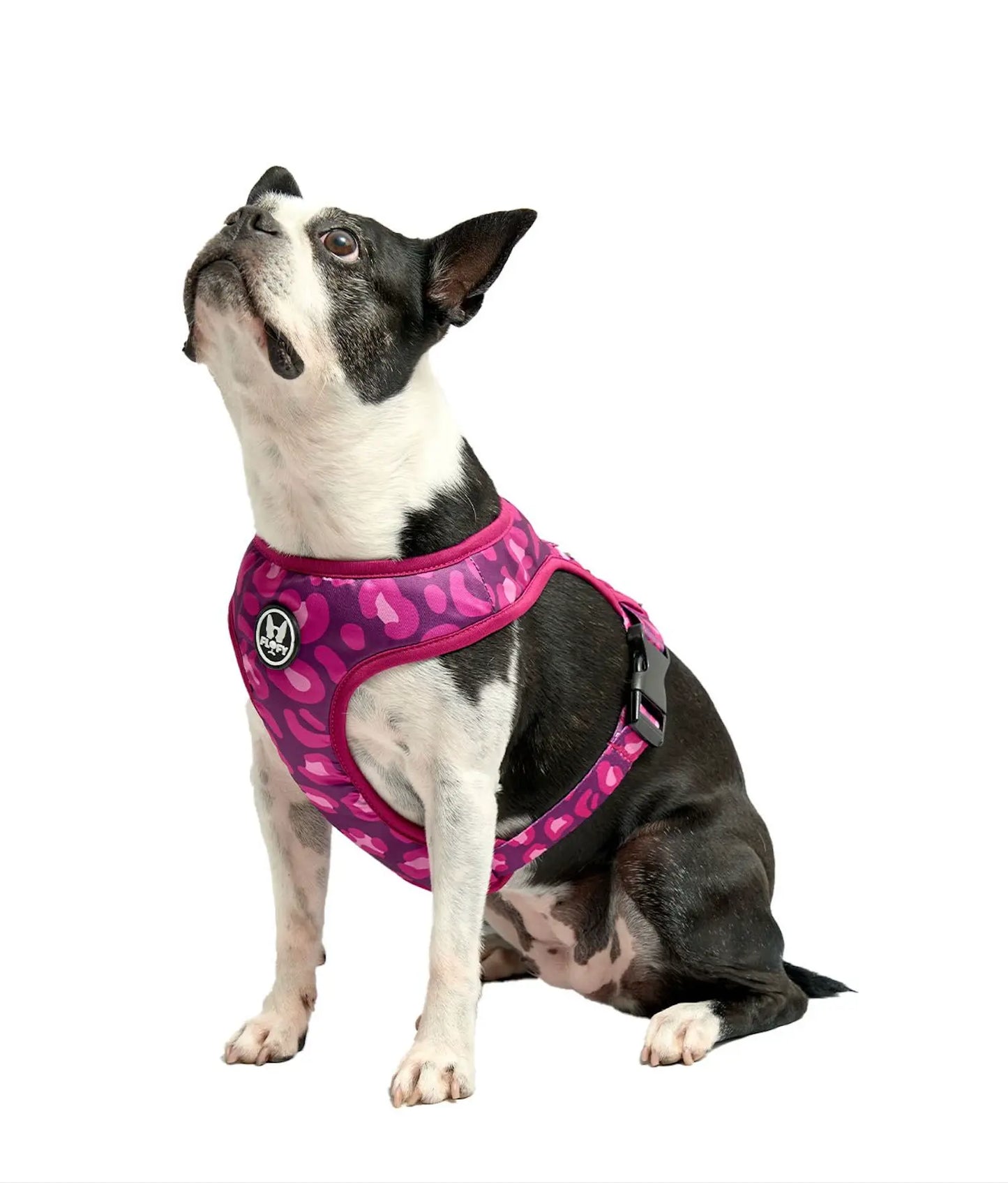 Pechera para mascotas Animal Purple Frida Pets