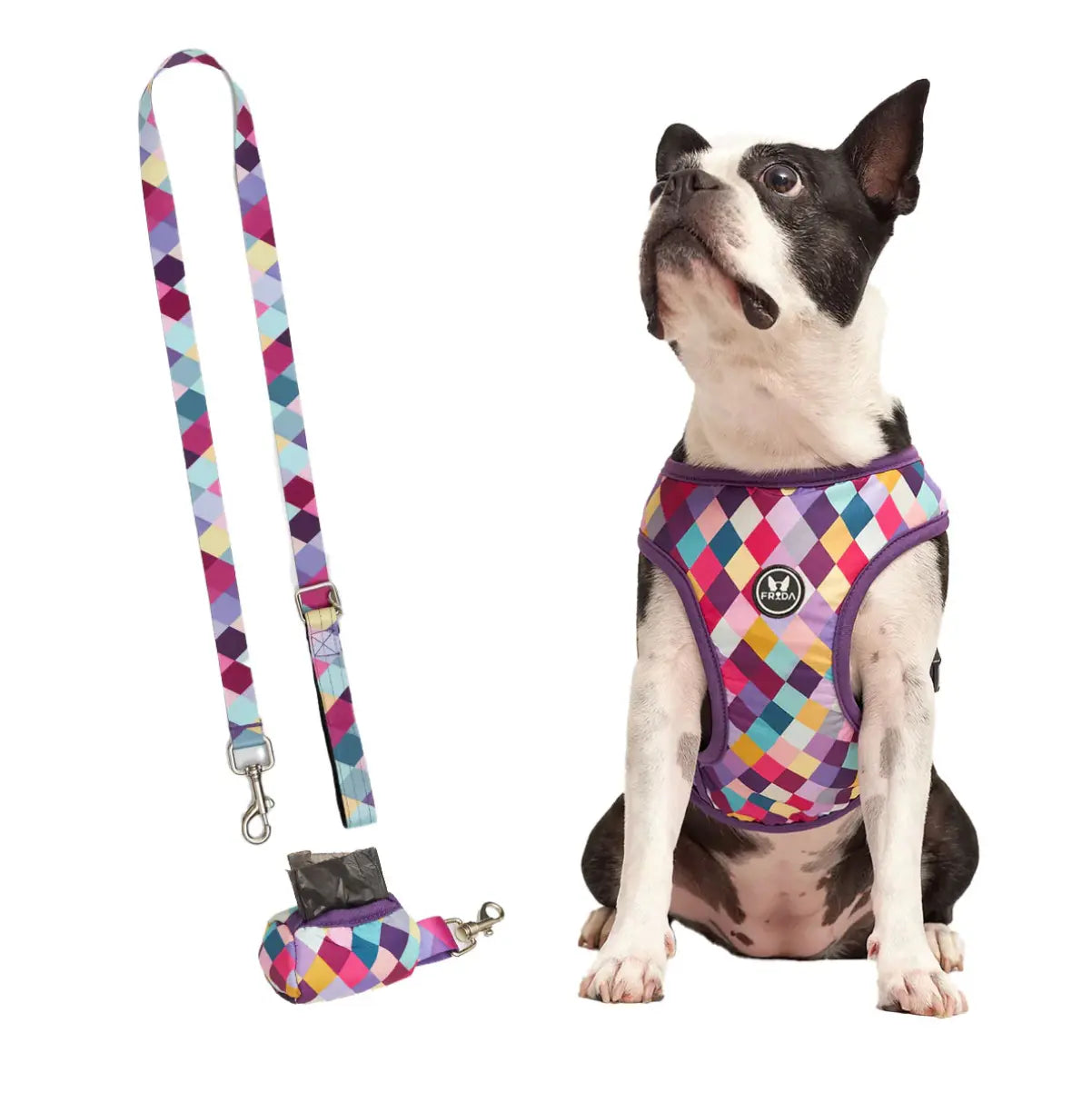 Pechera Tradicional para mascotas Incluye Correa + Portabolsas + Envio Frida Pets