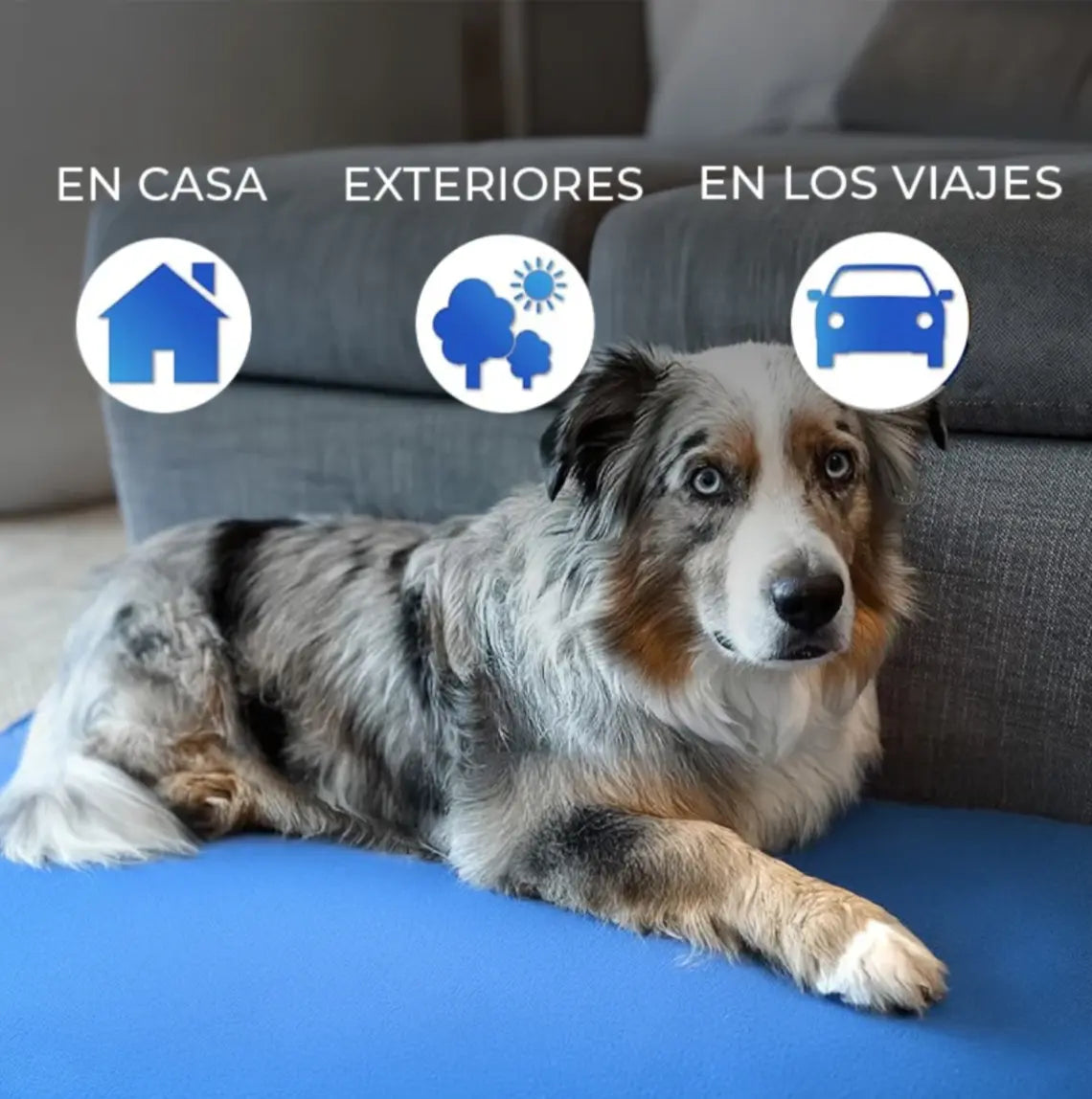 Colchoneta Termica para Mascotas Frida Pets
