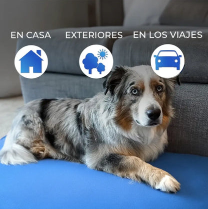 Colchoneta Termica para Mascotas Frida Pets