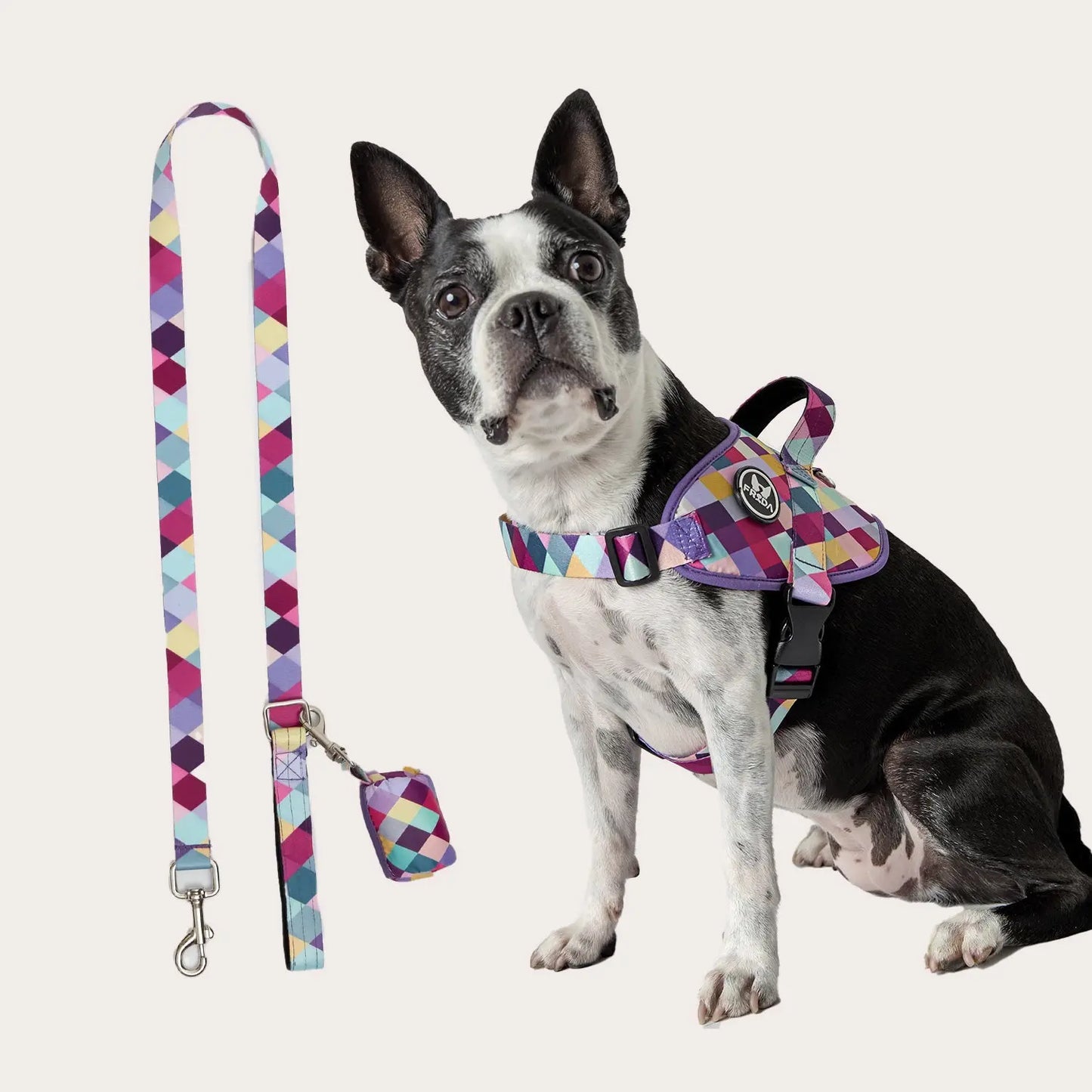 Pechera Flofy para mascotas + Correa Frida Pets
