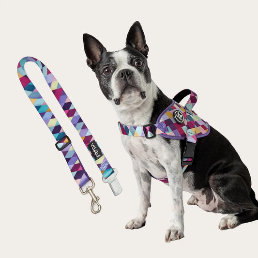 Pechera Flofy para mascotas +  Cinturón para carro + Envio Gratis -- Selecciona Diseño Frida Pets