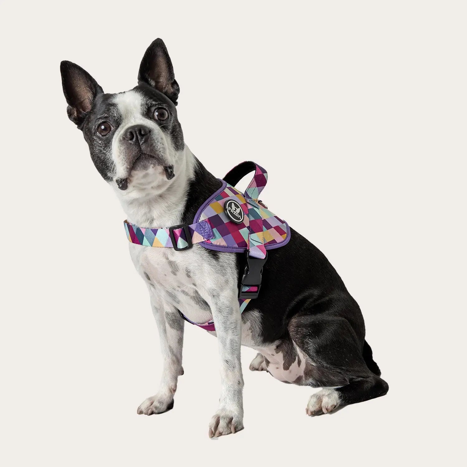 Pechera Flofy Rombos Morados Frida Pets