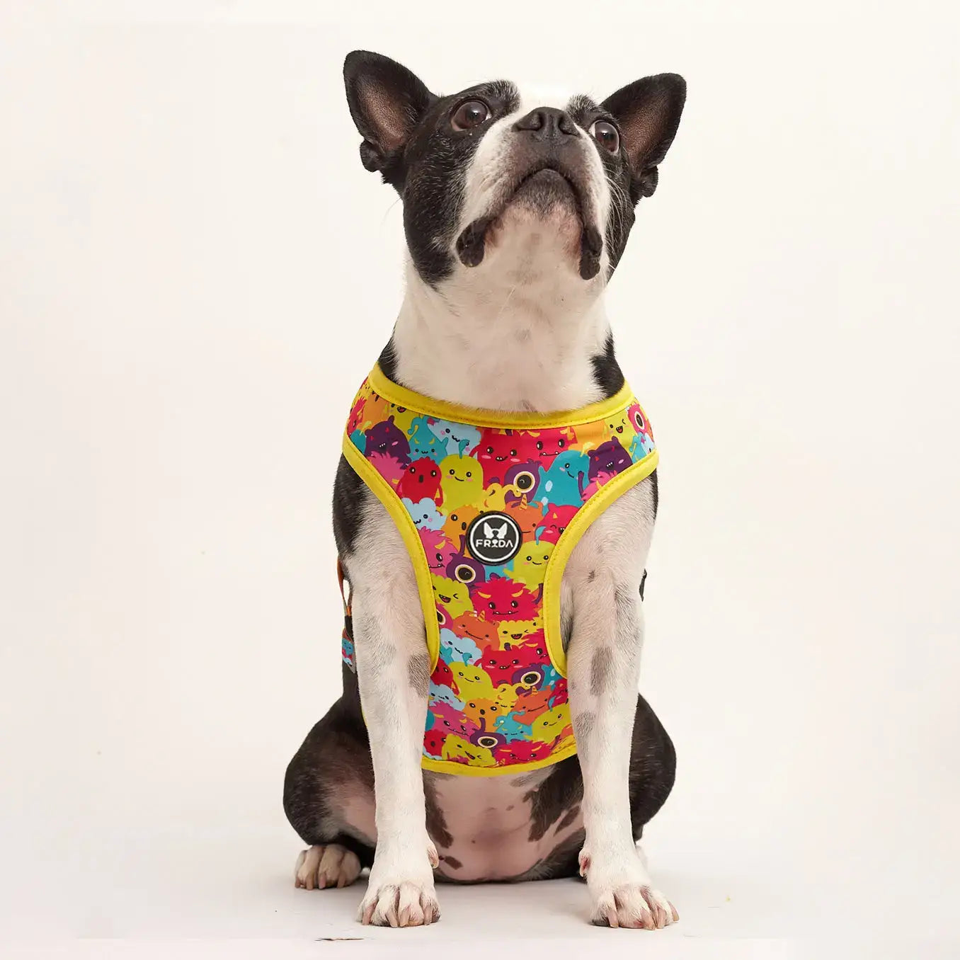 Pechera para mascotas Monstruos Frida Pets