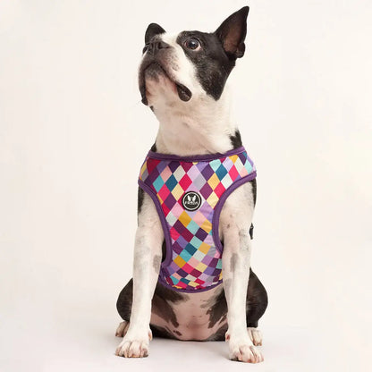 Pechera para mascotas Rombos Morados Frida Pets