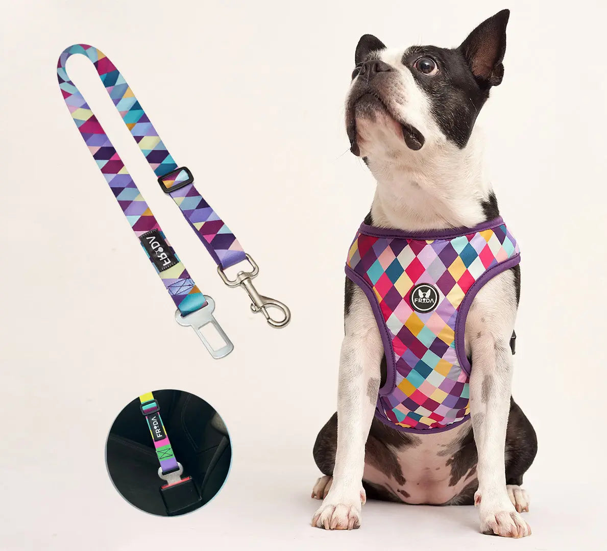 Pechera Tradicional para mascotas Incluye Cinturón para carro+ Envio Gratis -- Selecciona Diseño Frida Pets