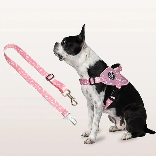 Pechera Flofy para mascotas +  Cinturón para carro + Envio Gratis -- Selecciona Diseño Frida Pets