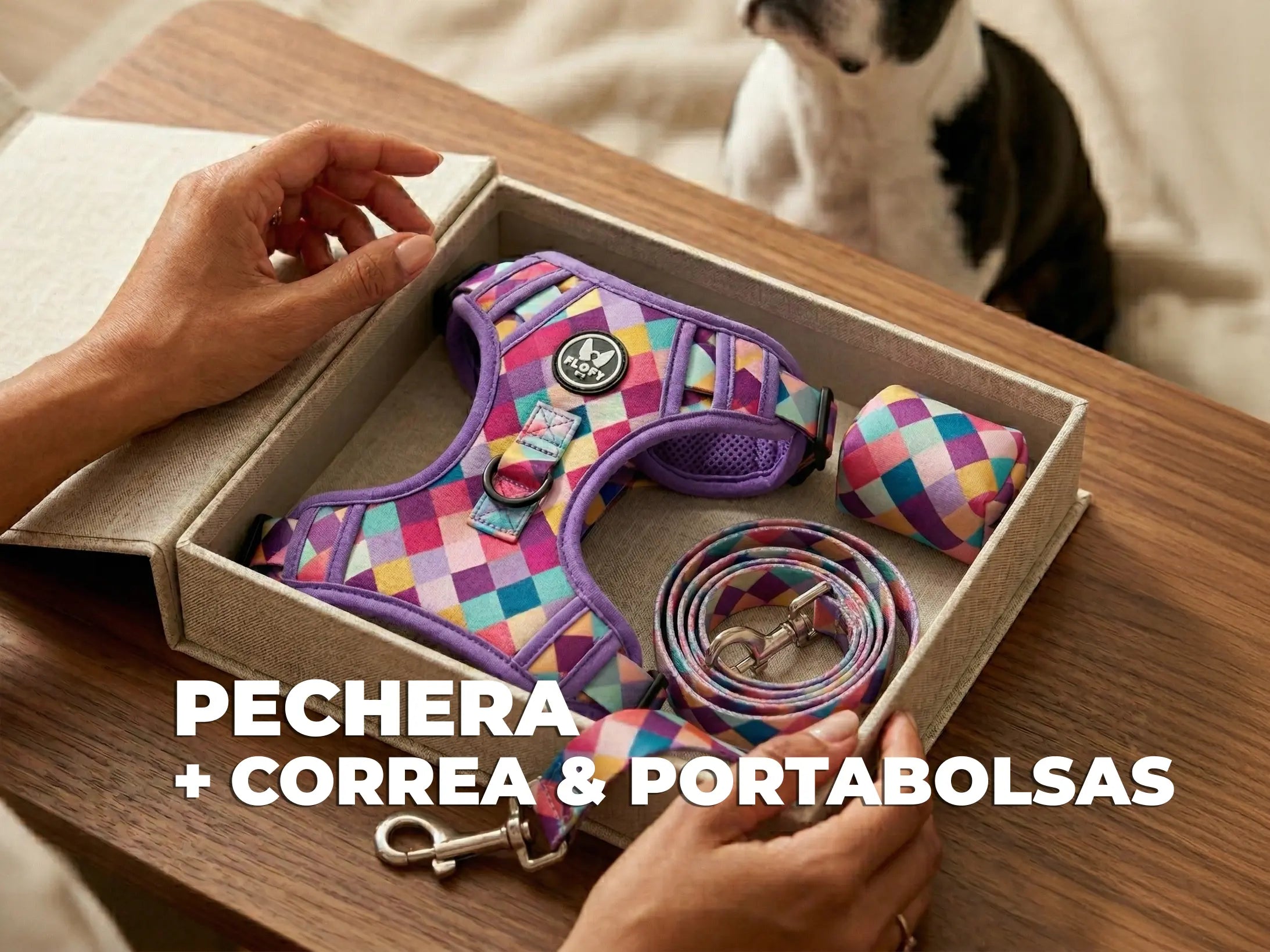 Todo en un kit