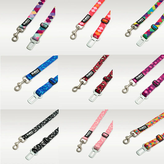 Cinturón para carro - FLOFY PETS
